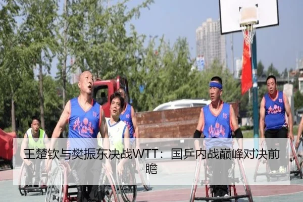 王楚钦与樊振东决战WTT：国乒内战巅峰对决前瞻