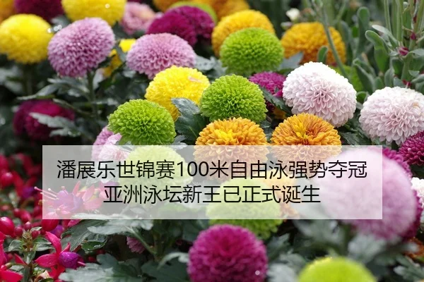 潘展乐世锦赛100米自由泳强势夺冠 亚洲泳坛新王已正式诞生