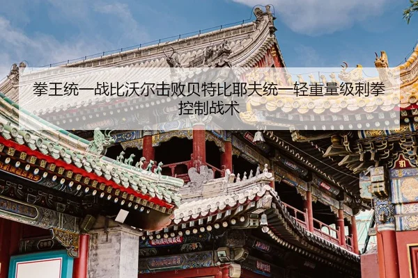 quan-wang-tong-yi-zhan-bi-wo-er-ji-bai-bei-te-bi-ye-fu-tong-yi-qing-zhong-liang-ji-ci-quan-kong-zhi-zhan-shu-2-954.jpg