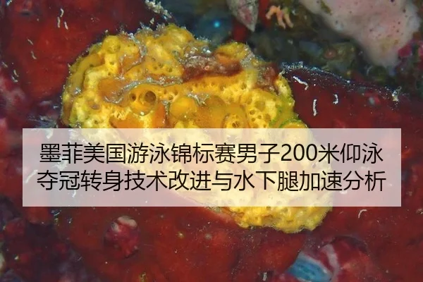 mo-fei-mei-guo-you-yong-jin-biao-sai-nan-zi-mi-yang-yong-duo-guan-zhuan-shen-ji-shu-gai-jin-yu-shui-xia-tui-jia-su-fen-3-209.jpg